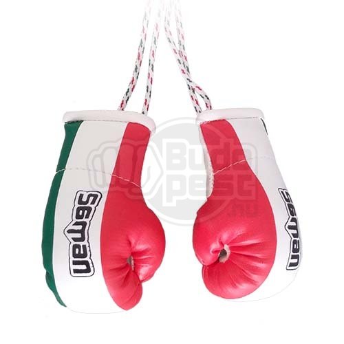 Mini Boxing Gloves, Saman, Hang-up, pair, tricolor