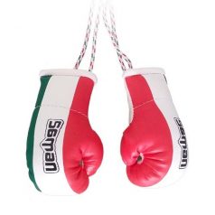 Mini Boxing Gloves, Saman, Hang-up, pair, tricolor