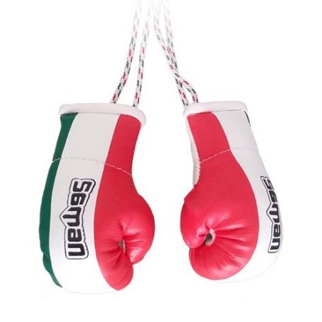 Mini Boxing Gloves, Saman, Hang-up, pair, tricolor