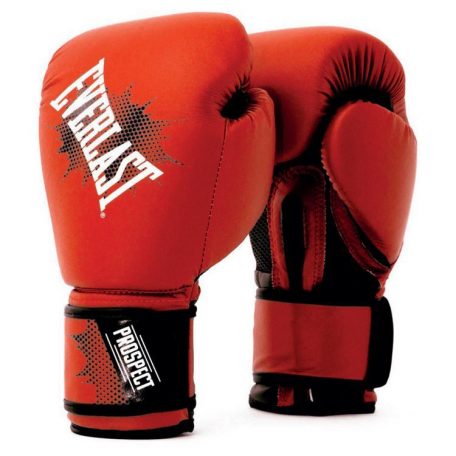 Everlast Fighter