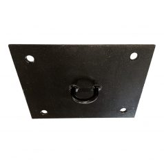 Ceiling mount, metal